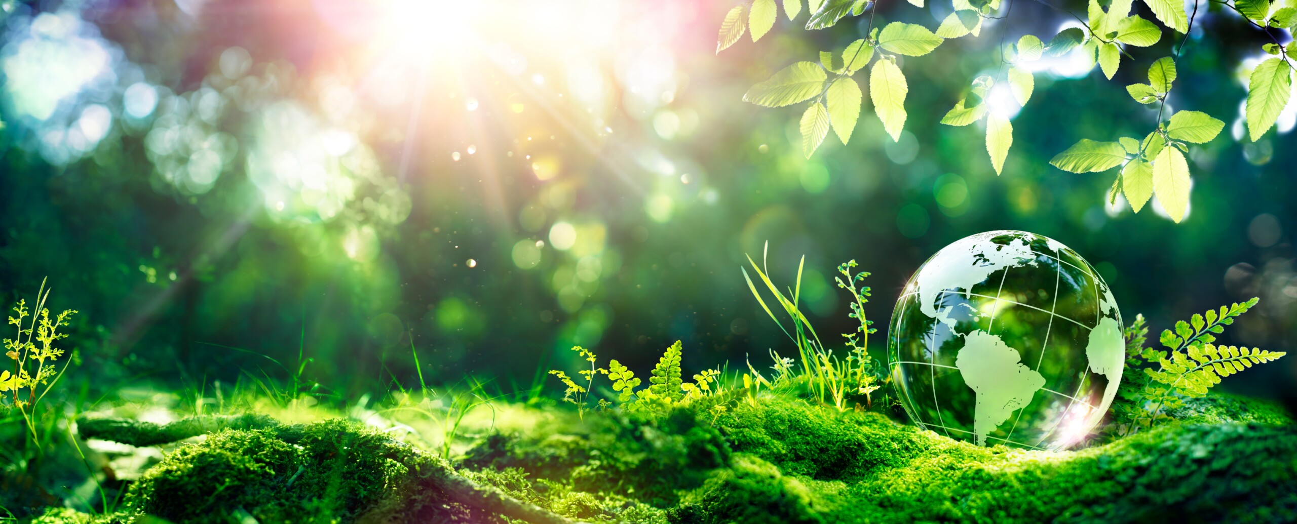 Sustainable Image